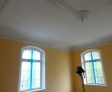 Paintwork and crown moldings in the apartment "Platane"