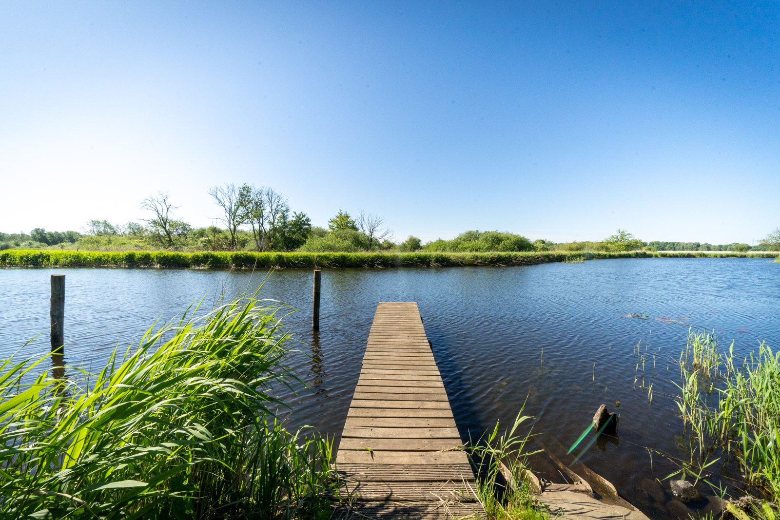 Kanusteg zum Saaler Bodden ©DOMUSimages